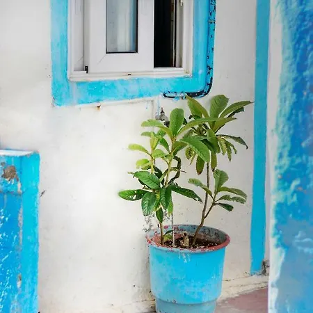公寓 Nikolas Traditional House In Maritsa 帕斯蒂达
